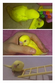 20120916131219249.jpg