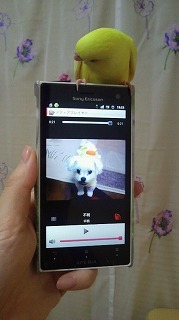 2012092219530001.jpg