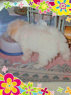 赤ちゃん200704132130000.jpg