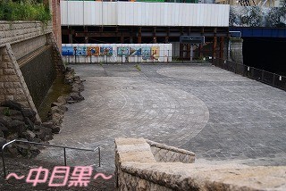DSC00267.jpg