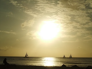 DSCF0055.jpg