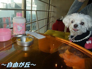 DSCF0260.jpg