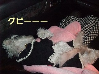 DSCF0267.jpg