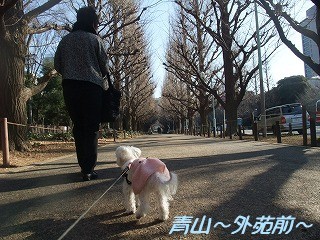 DSCF0282.jpg