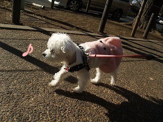 DSCF0284.jpg