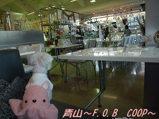 DSCF0293.jpg