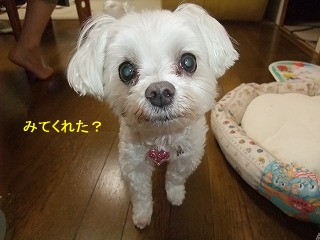 DSCF1262.jpg