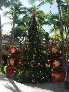 DSCF2052.jpg