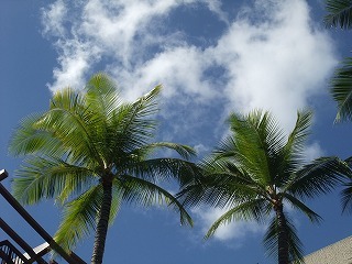 DSCF2059.jpg