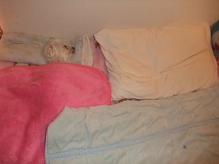 DSCF3151.jpg