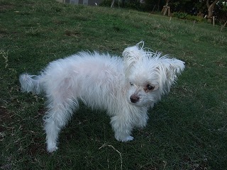 DSCF3314.jpg