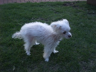 DSCF3391.jpg