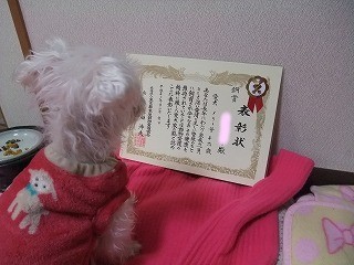 DSCF5045.jpg