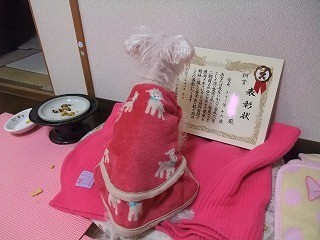 DSCF5047.jpg