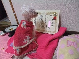 DSCF5048.jpg