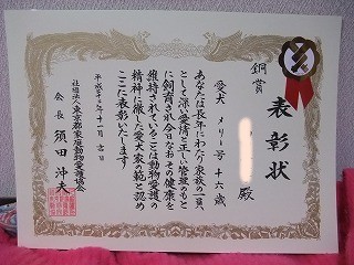 DSCF5051.jpg