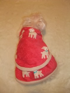 DSCF5056.jpg