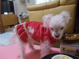 DSCF5060.jpg