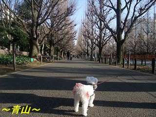 DSCF5264.jpg