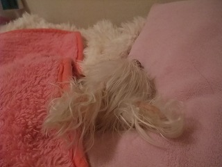 DSCF5771.jpg