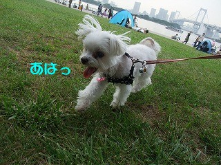 DSCF6142.jpg