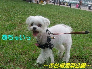 DSCF6175.jpg