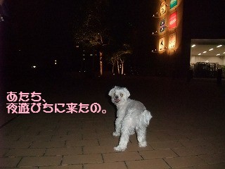 DSCF6516.jpg