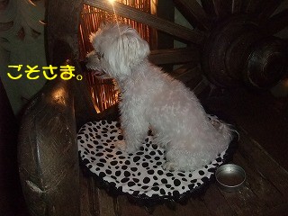DSCF6528.jpg
