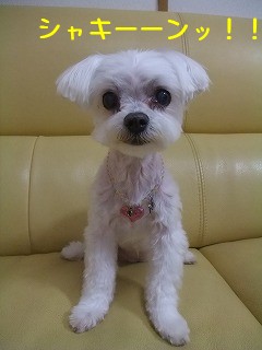 DSCF6540.jpg