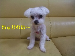 DSCF6541.jpg