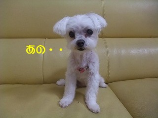 DSCF6542.jpg