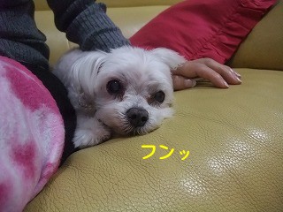 DSCF6544.jpg