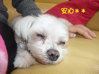 DSCF6545.jpg