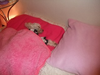 DSCF7027.jpg