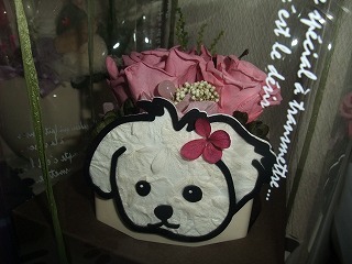 DSCF7150.jpg