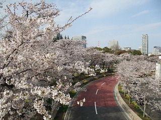 DSCF7182.jpg