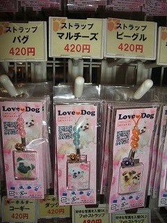 DSCF7206.jpg