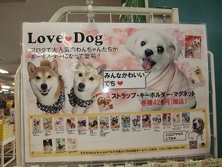 DSCF7216.jpg
