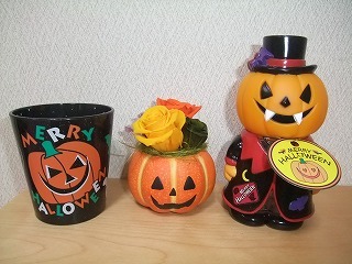 DSCF8027.jpg