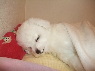 DSCF8031.jpg
