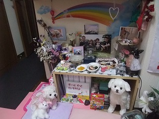 DSCF8043.jpg