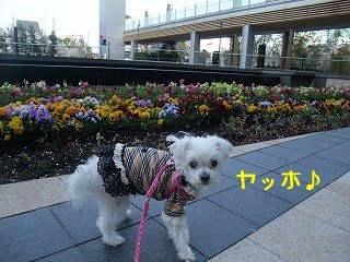 DSCF8053.jpg