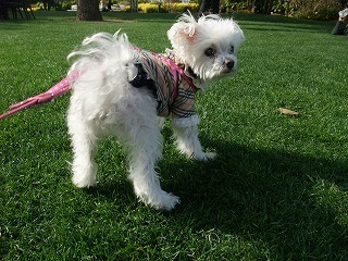 DSCF8054.jpg