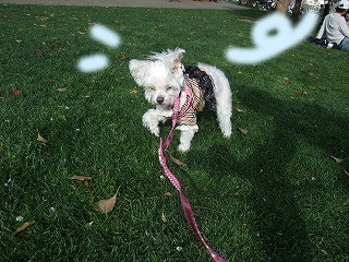 DSCF8065.jpg