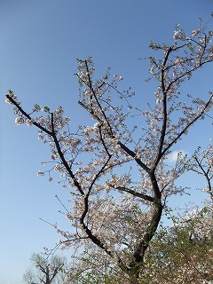 DSCF8080.jpg