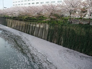 DSCF8085.jpg
