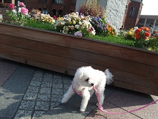 DSCF8099.jpg