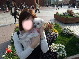 DSCF8103.jpg