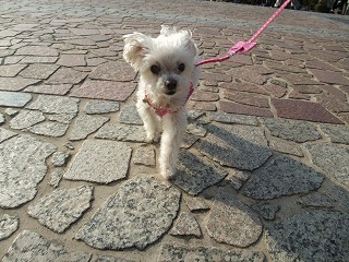DSCF8106.jpg