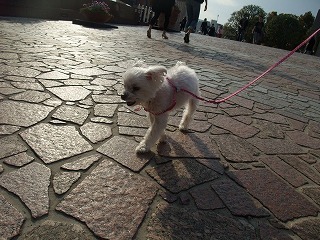 DSCF8107.jpg